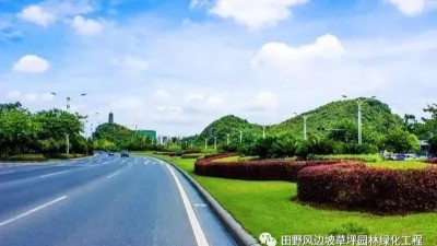 道路綠化中，城市干道植物應(yīng)怎樣配置？