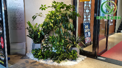 廣州室內(nèi)盆栽花卉植物租賃服務(wù)流程