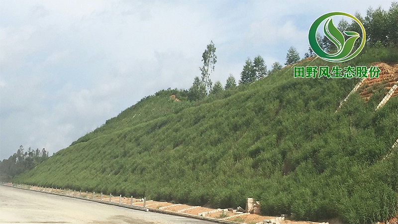 高速公路綠化，生態(tài)防護(hù)