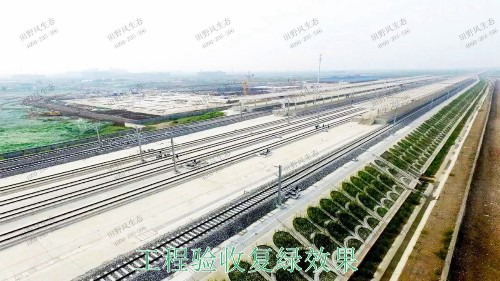 贛深鐵路廣東段鐵路邊坡綠化工程