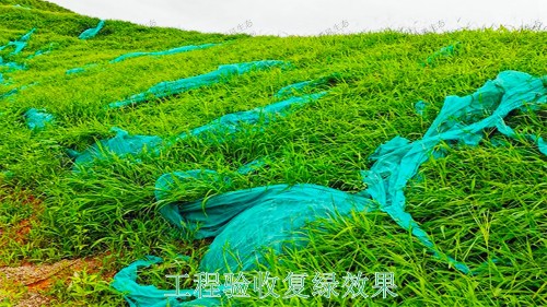 廣西百色山體滑坡生態(tài)修復(fù)工程