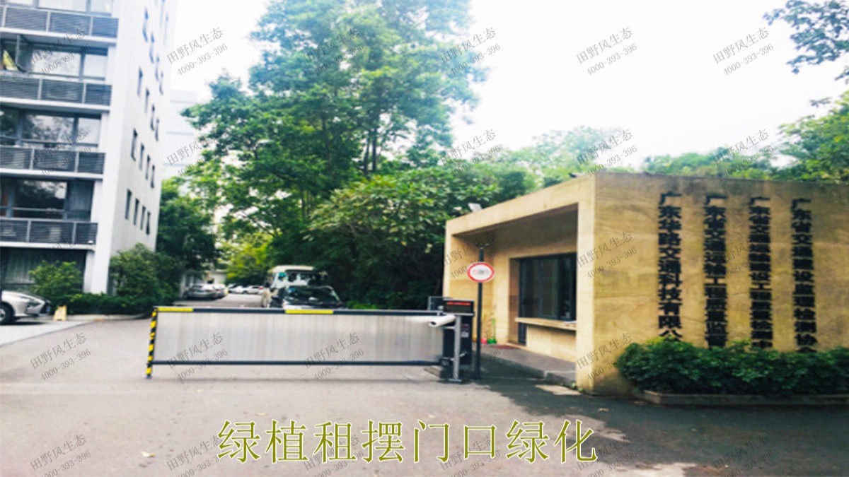 花卉植物租擺,廣東省交通運(yùn)輸建設(shè)工程質(zhì)量檢測(cè)中心