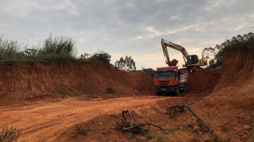 廣東中山火炬新區(qū)道路邊坡復綠工程