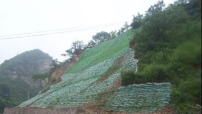 生態(tài)袋——環(huán)境保護、生態(tài)綠化、水土保持三位一體的生態(tài)護坡系統(tǒng)