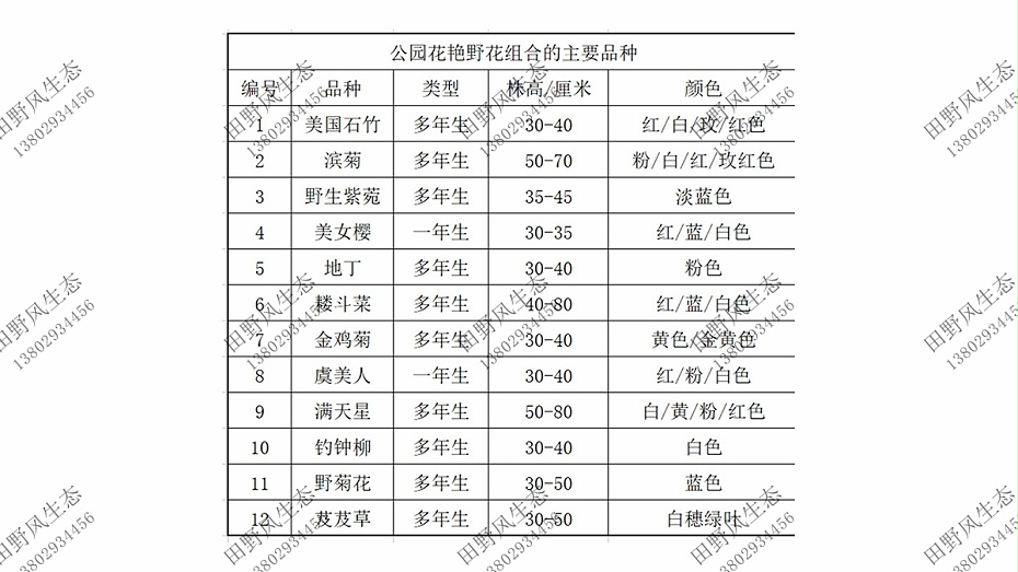 野花組合品種