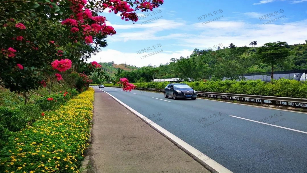 道路綠化