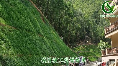 東莞市國(guó)際公館邊坡綠化工程今日?qǐng)A滿驗(yàn)收