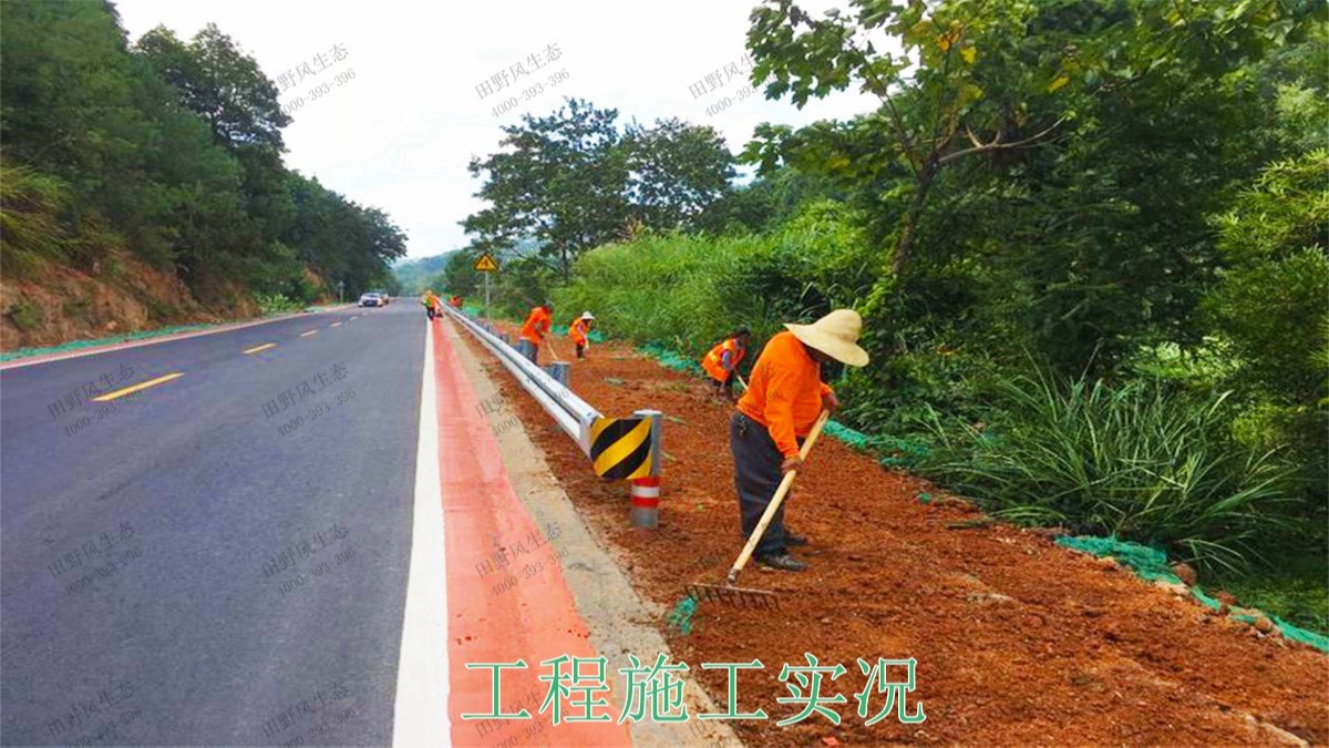 贛州全南公路市政道路工程