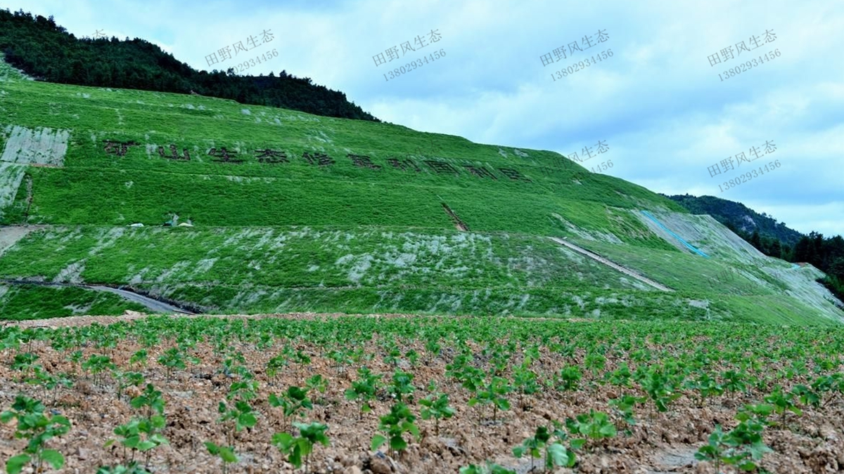 礦山生態(tài)修復