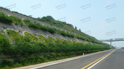 邊坡綠化對植物的選擇原則，有哪些植物推薦？