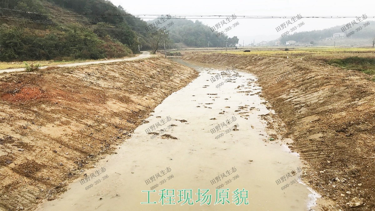 中山翠享濕地公園河道邊坡植草