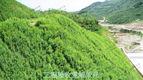 廣州白水山森林公園生態(tài)修復(fù)