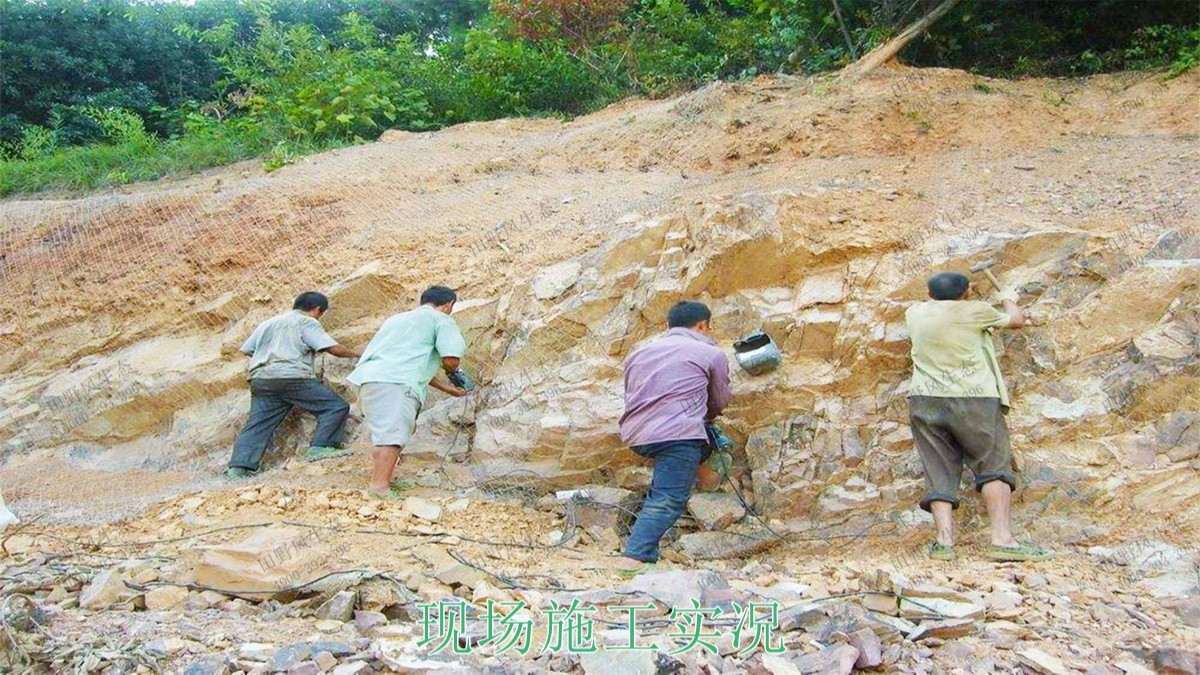 高州市泗水鎮(zhèn)林豐石場生態(tài)修復工程