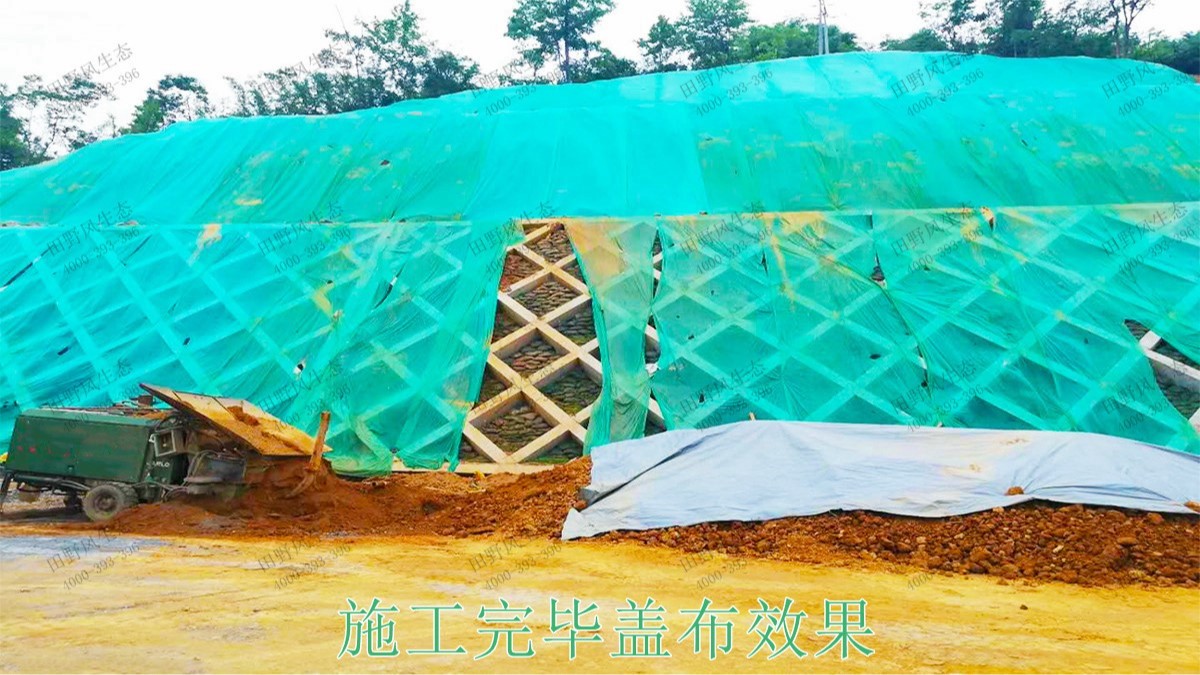 廣珠高速中山段公路邊坡綠化高速工程