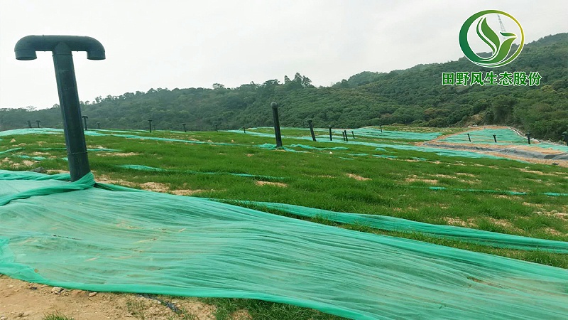 邊坡綠化,生態(tài)復綠