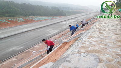 高速公路綠化，有哪些方法與竅門呢？