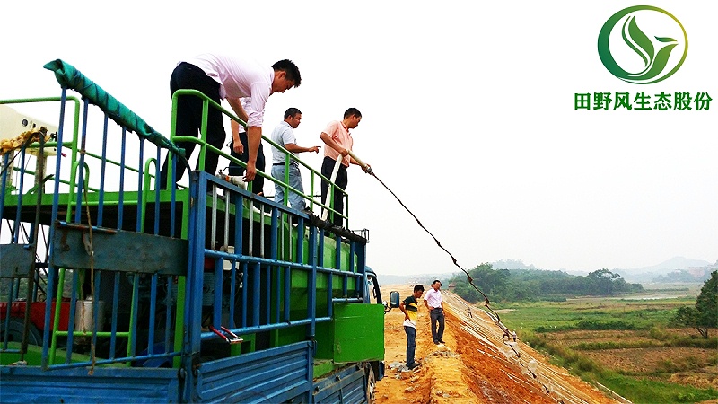 高速公路綠化,高速邊坡綠化