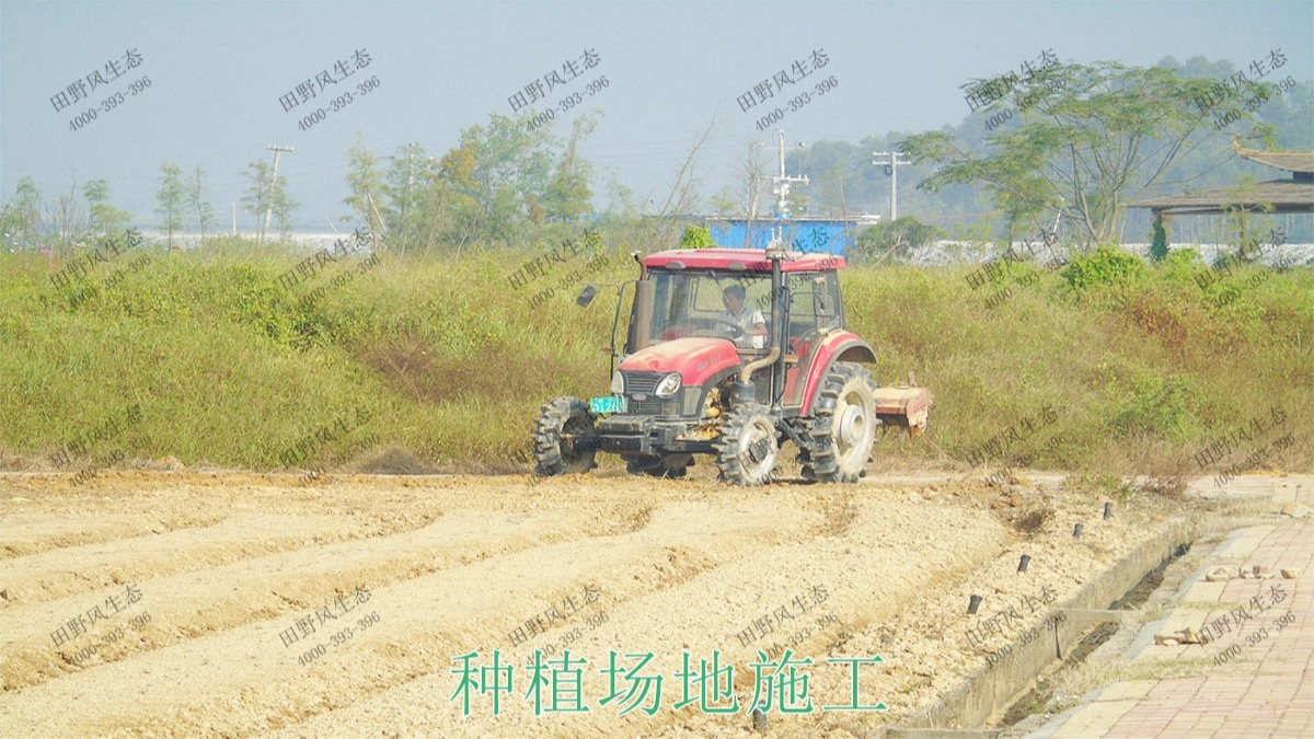 廣西北流銅石嶺4A景區(qū)花海設(shè)計